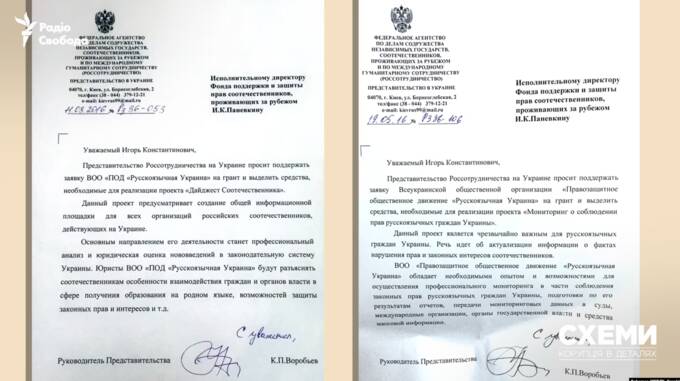 Російські гранти, батько з ВПК РФ і експертиза для Ради: хто така Яна Салміна і чому вона впливає на закони України