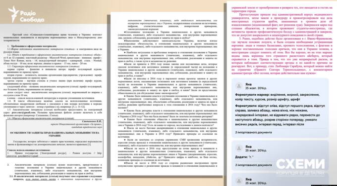 Російські гранти, батько з ВПК РФ і експертиза для Ради: хто така Яна Салміна і чому вона впливає на закони України